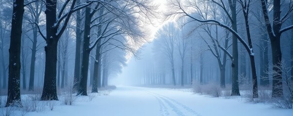 Snow-covered forest with bare trees and a misty atmosphere, peaceful, misty