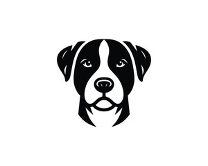 portrait of a labrador retriever