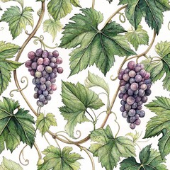 Obraz premium Seamless pattern, vintage pattern with grapevine and ripe bunches, watercolour drawing of grapes and leaves, elegant botanical illustration of grapevine, watercolour style
