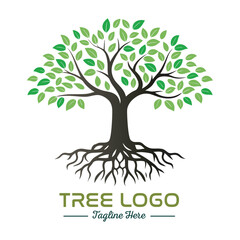 Obraz premium Beautiful green tree silhouette and vector design, minimalist business logo for tree icon on white background.
