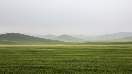 Obraz premium Serene Green Landscape with Soft Rolling Hills and Misty Horizon