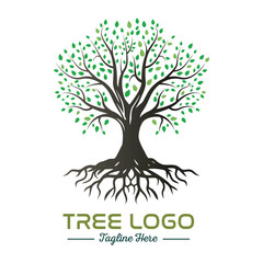 Obraz premium Beautiful green tree silhouette and vector design, minimalist business logo for tree icon on white background.