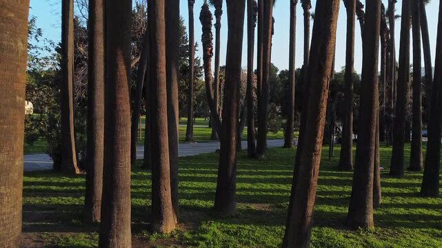 2k footage. Kid is cycling in İzmir City in Turkey, K&uuml;lt&uuml;rpark Fuar 
