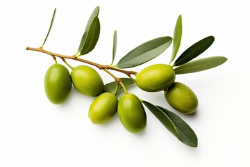 Olive branch green olives isolated on white