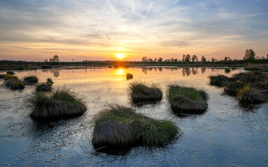 High Fens, Eifel, Belgium