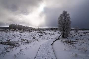 Wintertime in High Fens, Eifel, Belgium