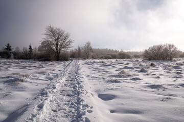 Wintertime in High Fens, Eifel, Belgium