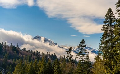 Scenic view of snow-capped Bucegi Mountains in Romania framed by evergreen trees