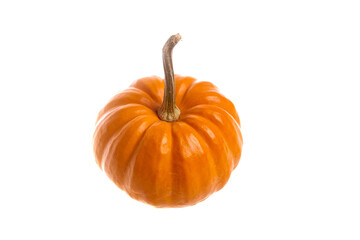 Small Orange Pumpkin with Curved Stem on White Background