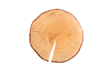 Obraz premium A circular wooden log slice with natural bark edges, visible growth rings, and deep cracks, isolated on a white background. Ideal for rustic decor, crafts, or woodworking