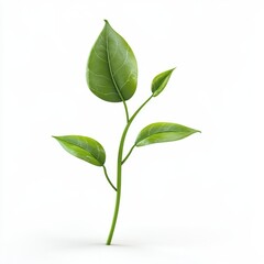 Fresh Green Plant Sprout with Vibrant Leaves on White Background