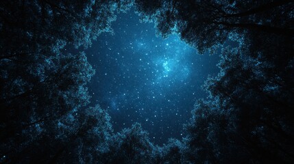 Fototapeta premium Starry night sky viewed through forest canopy.