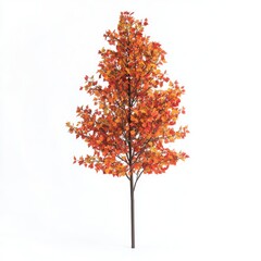 Naklejka premium A single autumn tree with a canopy of red, orange, and yellow leaves, isolated on a white background