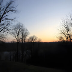 sunset in the forest