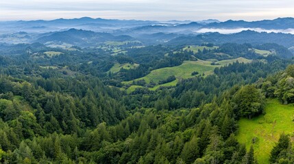 Fototapeta premium Experience a breathtaking aerial perspective of a dense forest with vibrant greenery and rolling hills, capturing the natural beauty and tranquility of the landscape