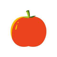 Cartoon Illustration of a Tomato