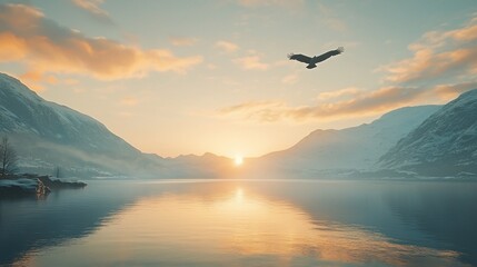 Eagle Soaring Sunset Fjord Mountains Landscape