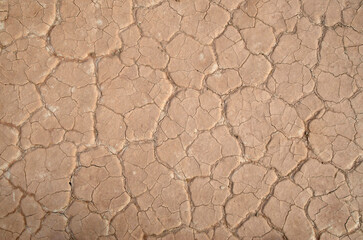 Cracked dry pink muddy surface closeup