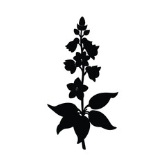 black and white flowers