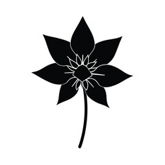vector illustration of a lily flower