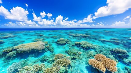 Naklejka premium Vibrant Coral Reef Under a Sunny Sky