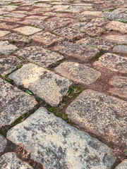 Aged cobblestone pavement with moss and soil between the stones, creating a rustic and historical look. Perfect for urban illustrations, old architecture, and vintage scenes.