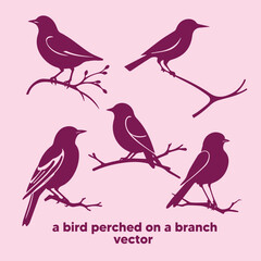 Silhouette of a bird perched on a branch – A minimalist nature-inspired logo vector