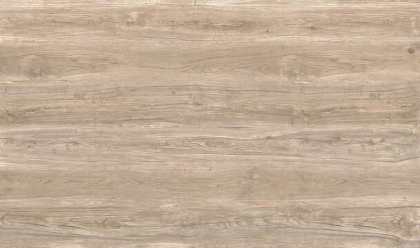 texture of wood background