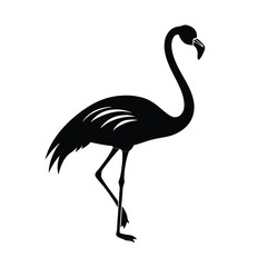 flamingo silhouette vector illustration