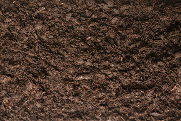 Black land for plant background.