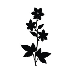 Obraz premium vector illustration of a flower