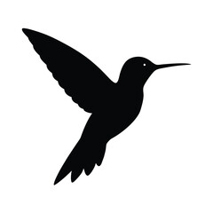 Fototapeta premium vector illustration of a hummingbird