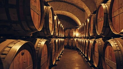 Explore the rich history of wine production in a historic cellar filled with wooden barrels