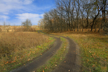 rural road in autumn forest