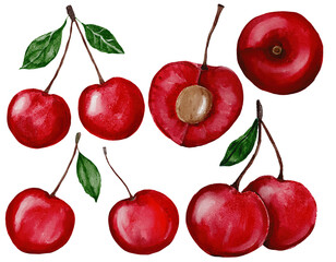cherries  watercolor  set on white background