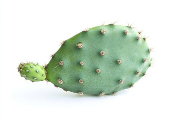 High-quality cactus pear presented on a clean white background showcasing its vibrant color and unique texture