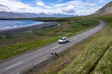 Scenic aerial view of coastal road with car and sheep in a picturesque landscape In Iceland