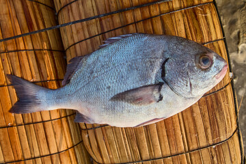 Local fishermen in Santa Rosa, Lambayeque, bring in the day's catch using caballitos de totora, ancient reed boats that have navigated these waters for millennia. A perfect blend of tradition, skill, 
