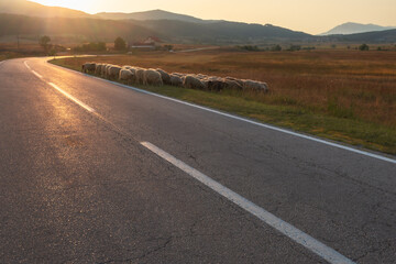 A lonely country road at sunset, Bosnia and Herzegovina
