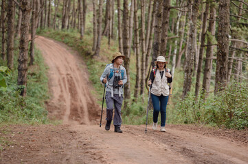Obraz premium Tourists are having fun in the mountain forest while enjoying the scenery.