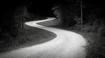 Winding Gravel Road Through Dark Forest at Dusk