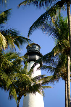 White lighthouse among palm trees under a bright blue sky, Miami, FLorida, USA