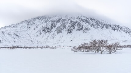 Obraz premium Winter Landscape Snow-Covered Mountain and Frozen Plain