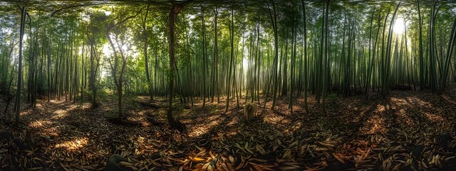 A dense bamboo forest with tall, green stalks standing straight and covered in fallen leaves on the ground
