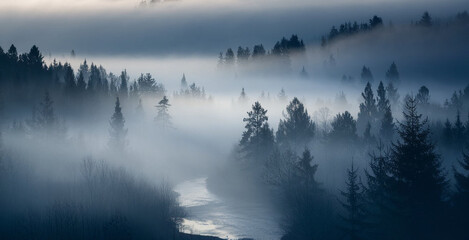 Mystical fog covering a dense forest in the early morning. Tall trees fade into the mist, creating a peaceful and atmospheric scene. The soft light and dreamy haze make this perfect for nature, travel