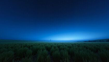 Foggy night landscape with green grass and blue sky, Night view of quiet residential street with illuminated houses, starry night sky 