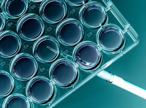 Biomedicine, Scientist preparing cells in growth medium in the lab