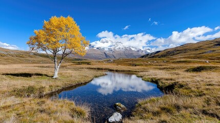 Obraz premium Autumnal tree reflects in mountain lake