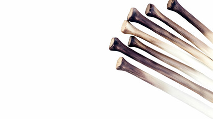 Close-up of dried, light brown stems, possibly garlic, against white background.  Possible use food photography