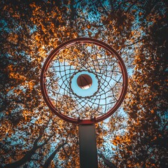 Basketball hoop framed by a colorful autumn woodland landscape with vibrant orange, red and blue foliage. The sports equipment is set against a scenic natural background.